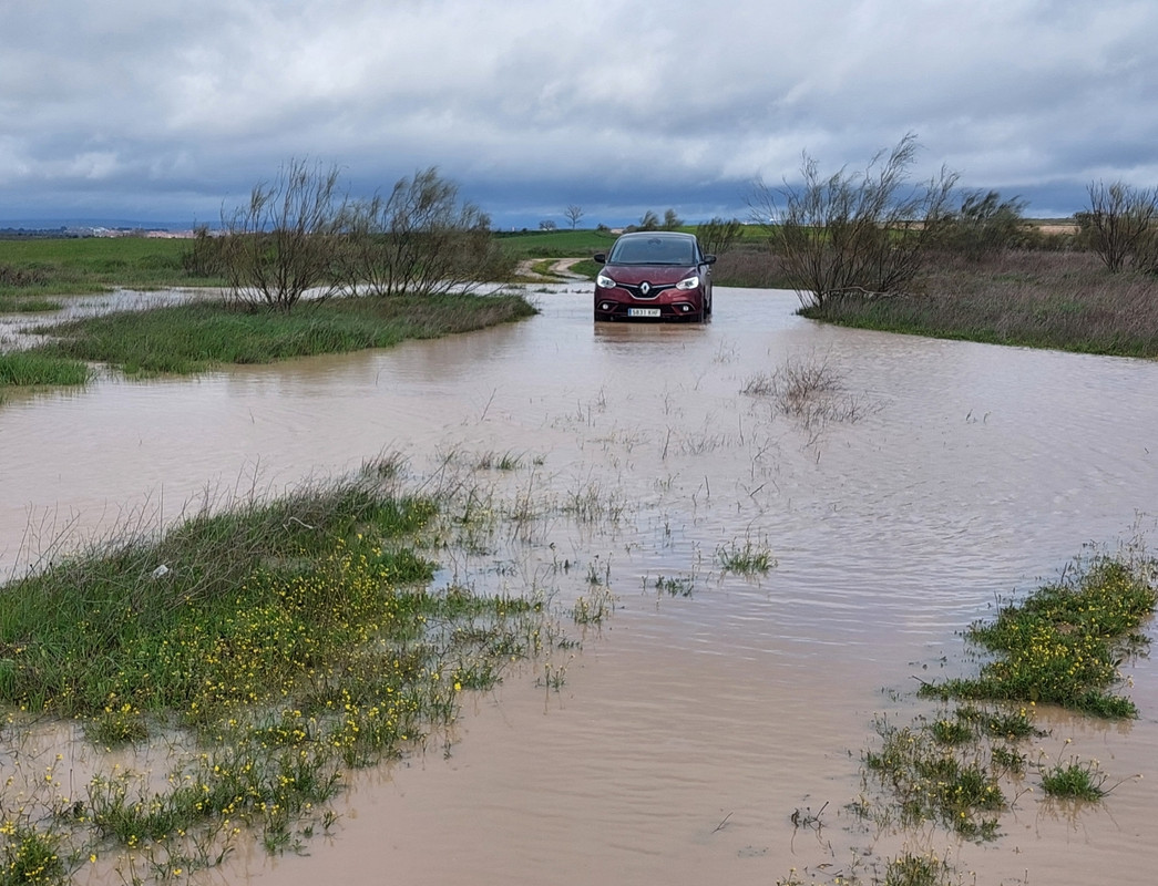 Screenshot_20250321_150035