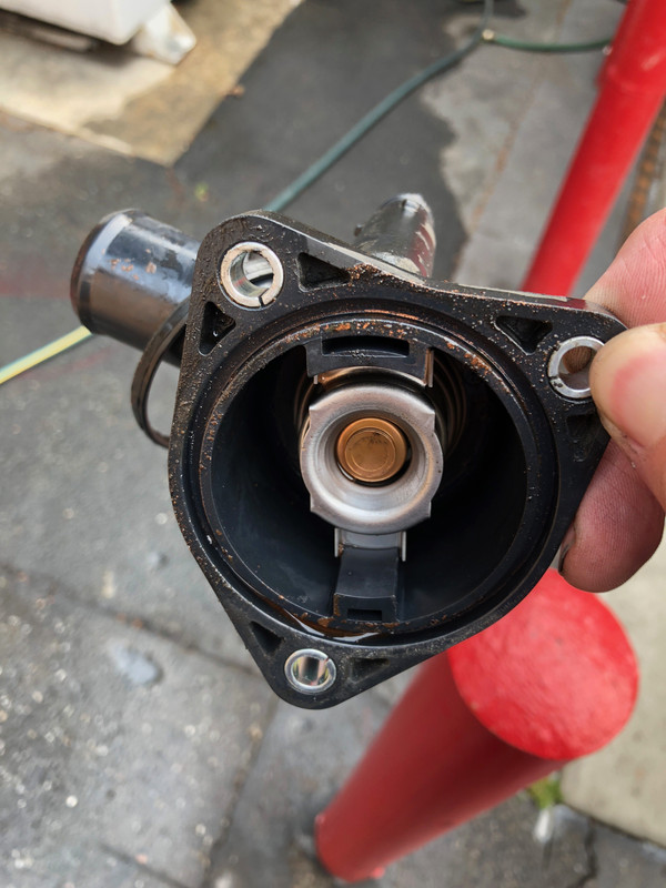 56349298502__CE82F219-0C80-4763-8FE1-8073FAF82974