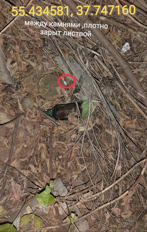 20251004_013444_edit_66220917852653