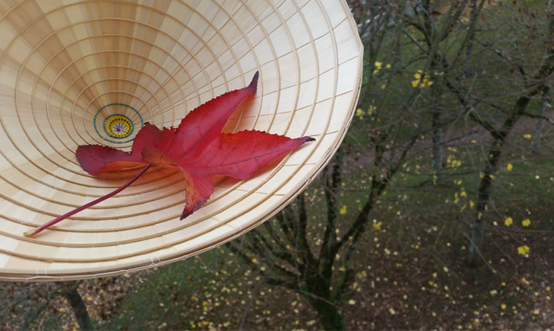 [Image: 20161124-124530.jpg]