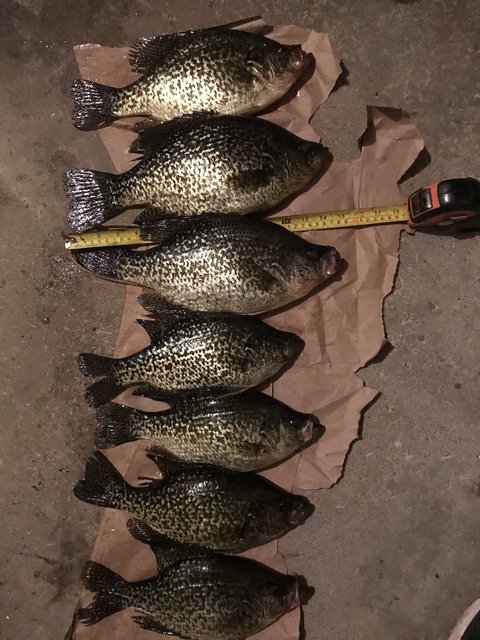 B701479E-EA1F-4E3A-B186-19948DEDF450