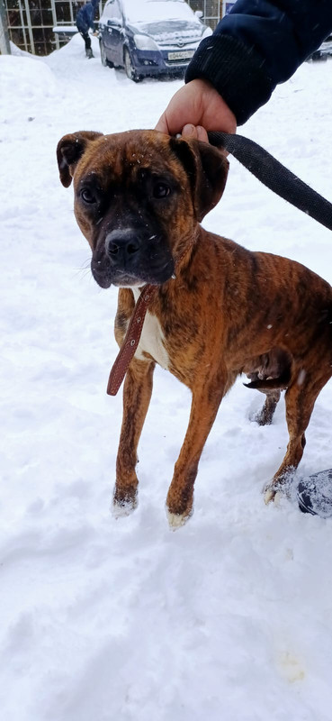 WhatsApp Image 2024-01-11 at 14.51.45 (3)