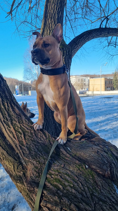 9451B56C-7BAF-458F-9145-E18F1877819F