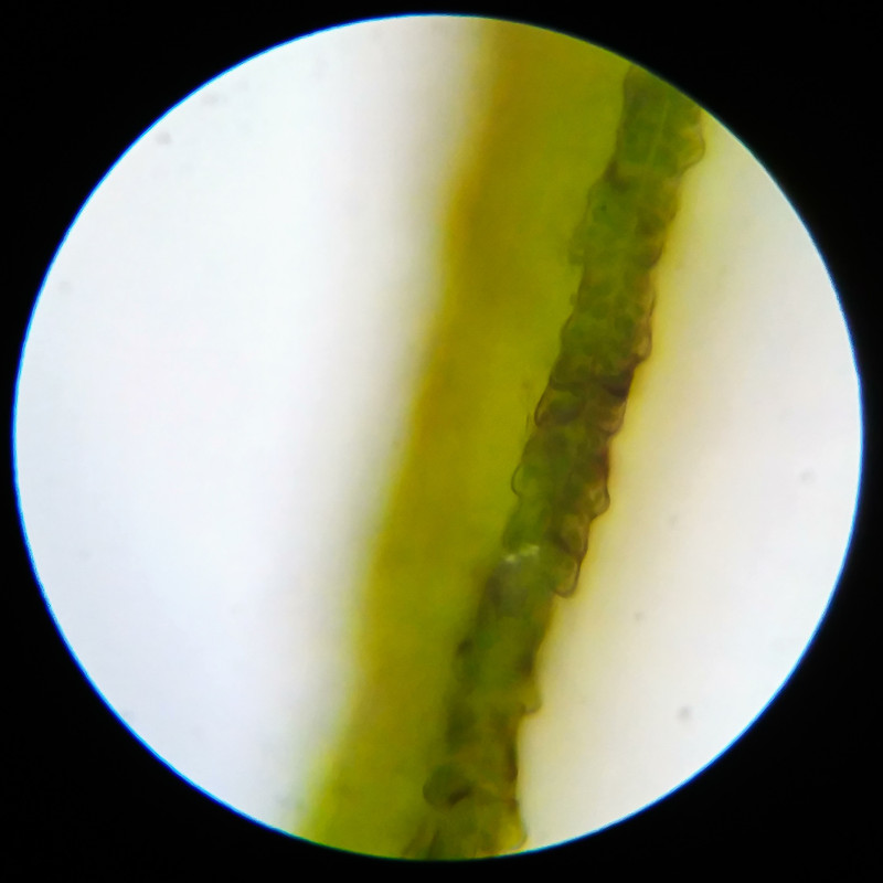 IMG 20250617 123301 HDR