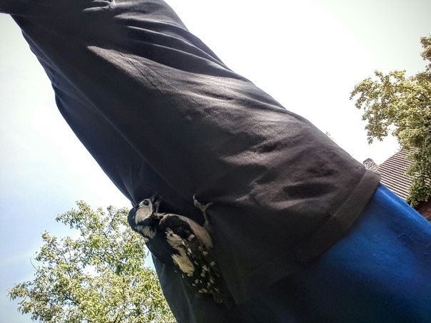 A1437D47-535A-44C3-9D41-935A9AEB6EA2