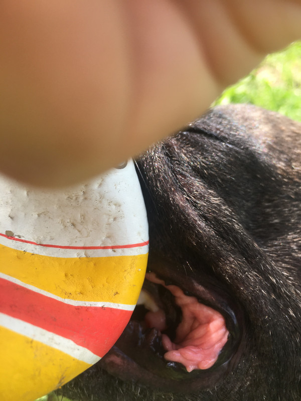 7549B96D-3FCE-4A10-B4B3-2CE0FFA1F322