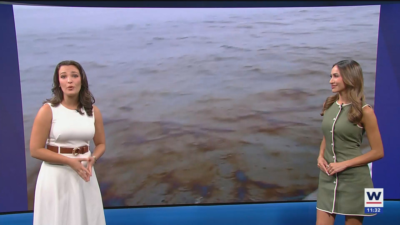 WINK NEWS at 1130am_20250824_16301700.ts_snapshot_03.29.654