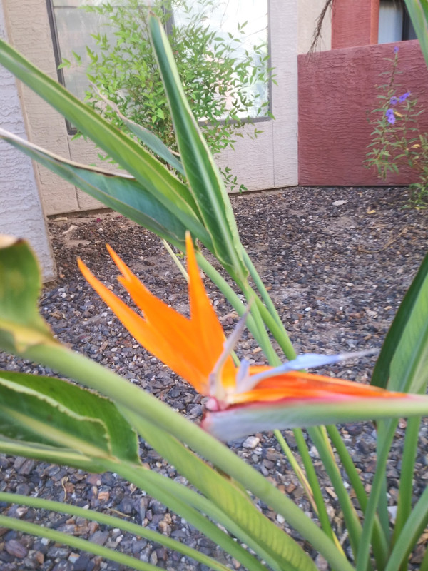 20191110_130154