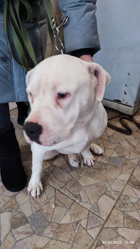 WhatsApp Image 2023-02-03 at 13.52.17 (1)