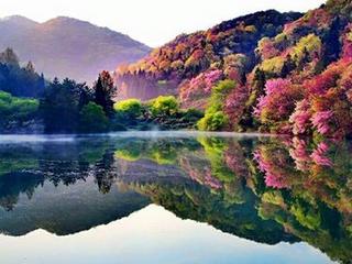 45612467-324220358376111-1420708540804235264-n