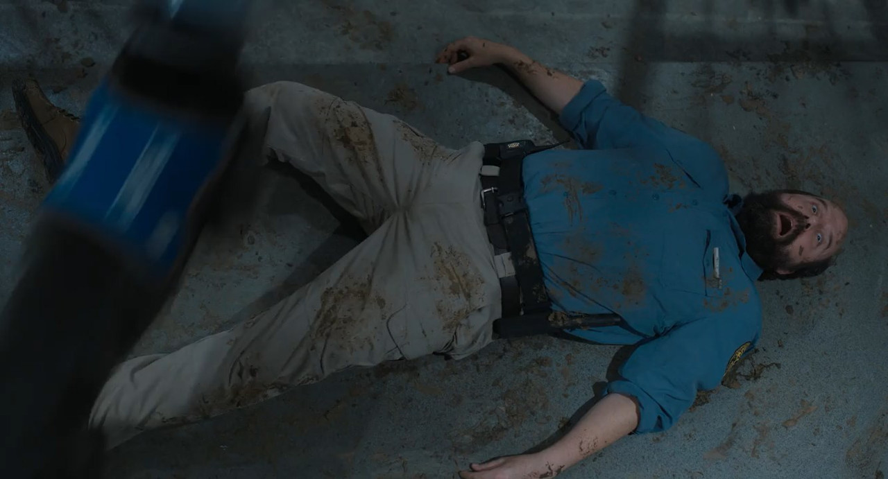 Strays 2023 BluRay [Hindi + English] 480p, 720p Screenshot
