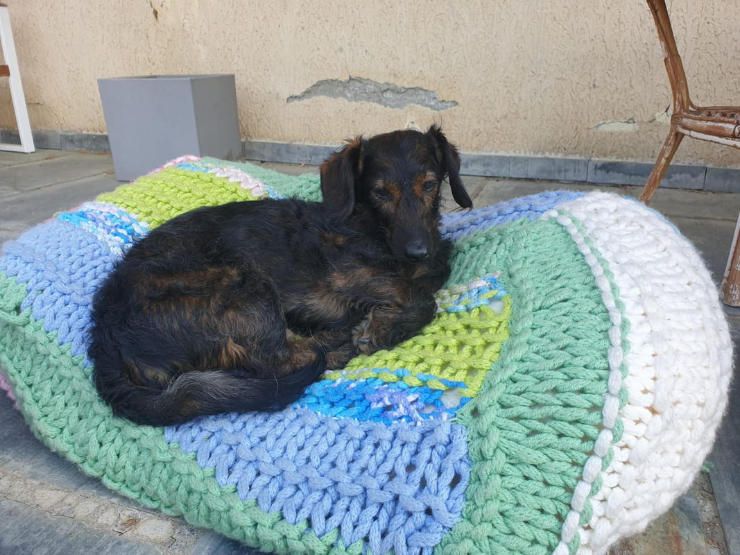 [Image: IMG-20250616-WA0002.jpg]