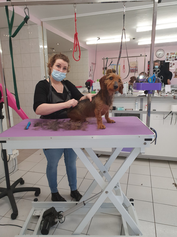 [Image: 20220128-162643.jpg]