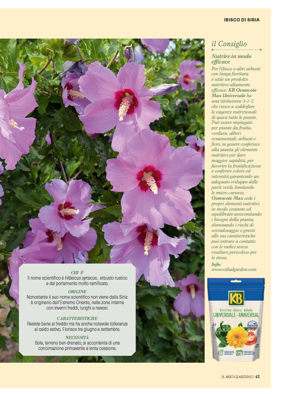 il mio Giar Ago Set 2026 (4)