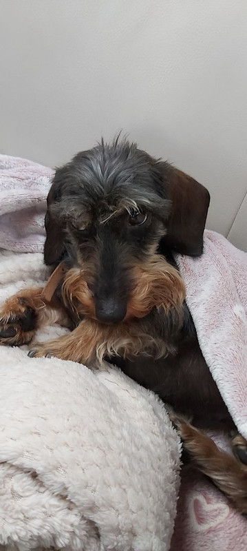 [Image: 197361554-500269474394514-8138712109723389994-n.jpg]