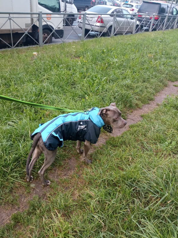 40103529-86C6-4778-9DF3-D6265F8DF372