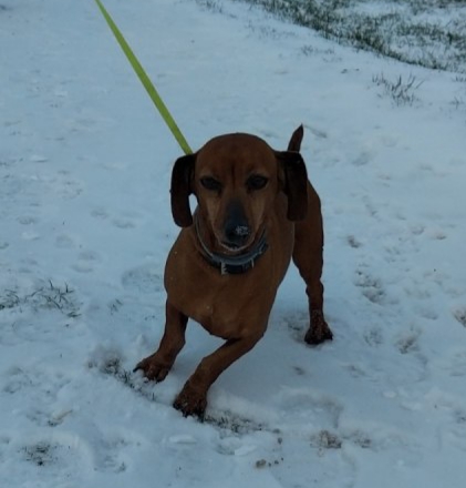 [Image: 20210211-074311.jpg]