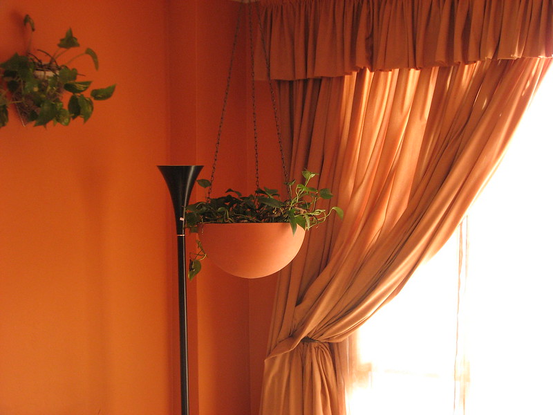 orangecurtainandplant.jpg