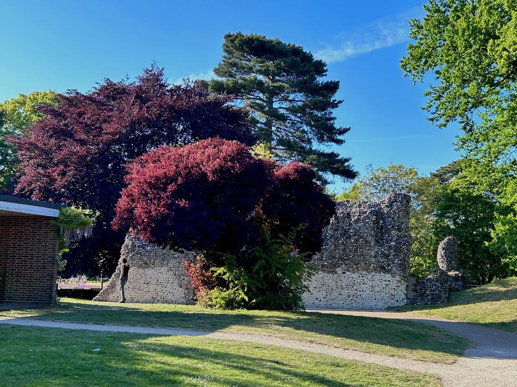 Пёстрая лента. Путешествие по сельским дорогам Англии в мае 2025 г.