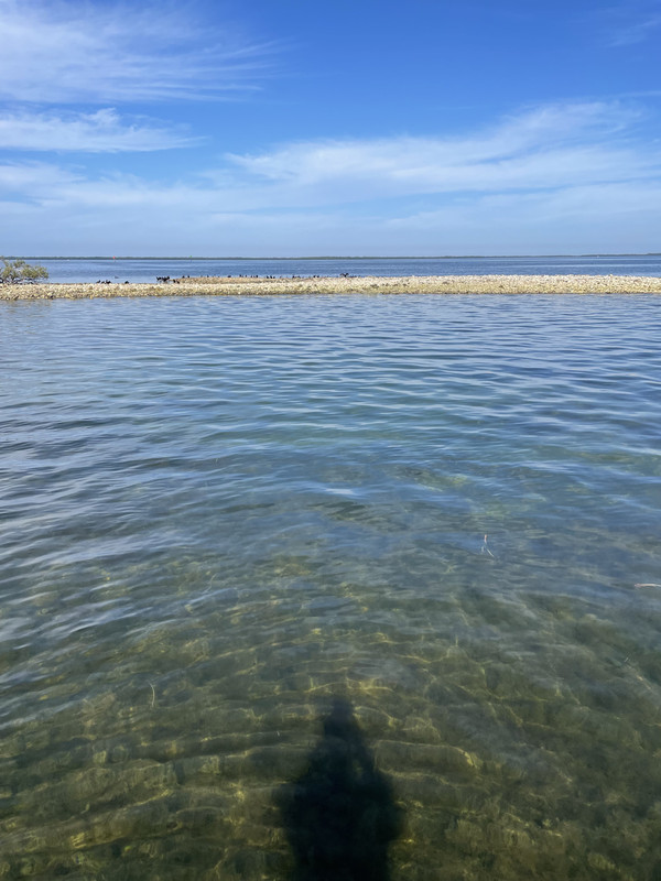 12493514-EAD6-4EDB-9674-8DD04E556F53