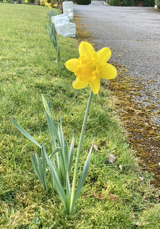 19924E14-36AC-46DD-9109-137E3F0A42A8