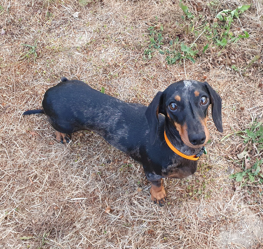 [Image: 20220805-103103.jpg]