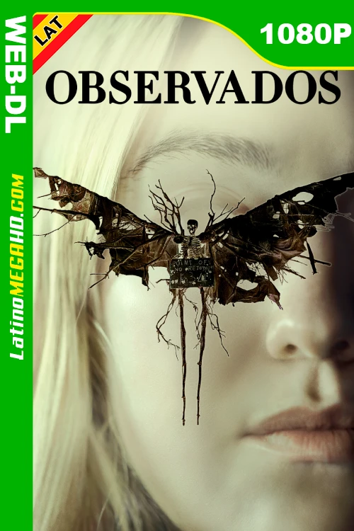 Observados (2024) Latino HD WEB-DL 1080P