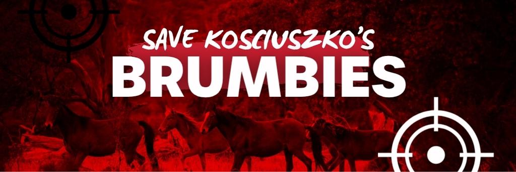 Save-Brumbies.jpg
