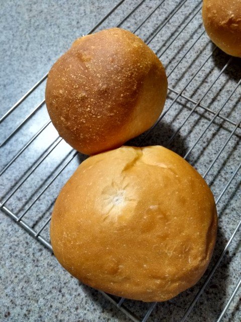 IMG_20240227_120558037_HDR (Small)