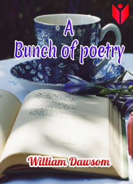 A Bunch of Poetry thumbnail
