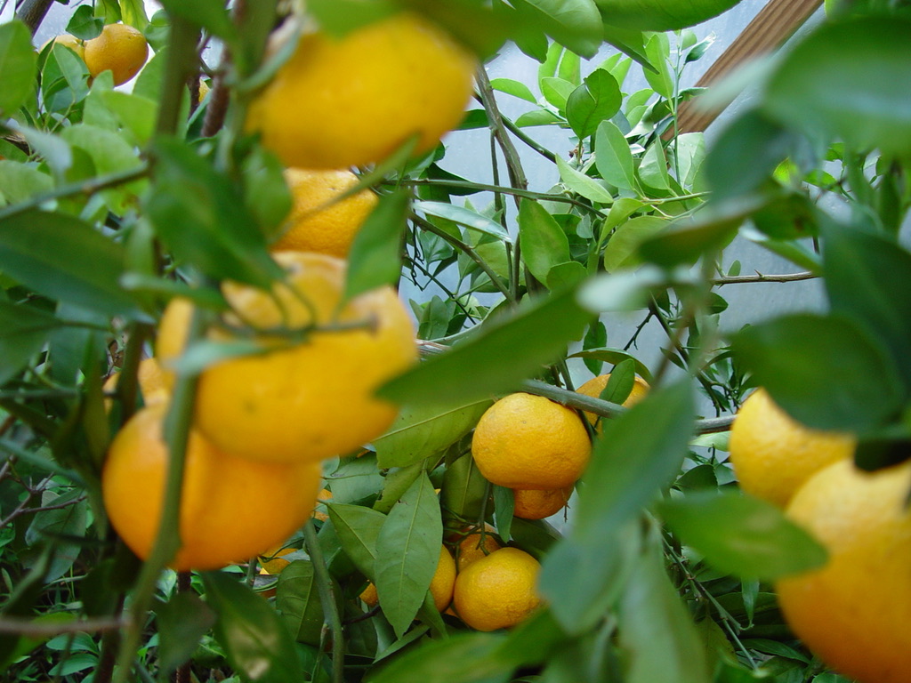 A74B4FF4-47B3-4EA0-A339-2938422CE688_1_105_c