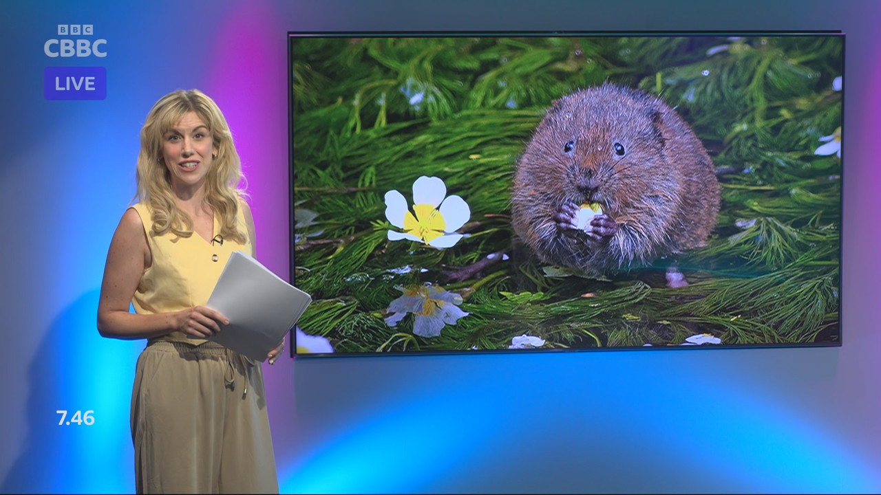 Newsround_20250806_07450755.ts_snapshot_06.27.540