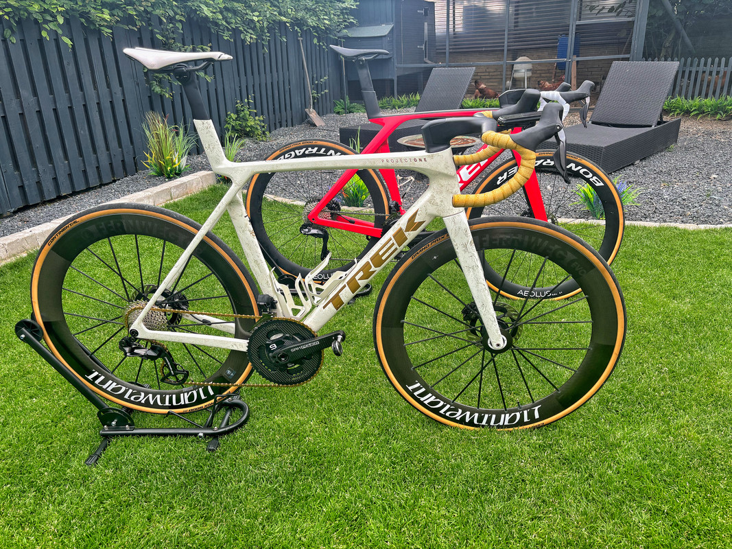 Trek madone gold hotsell