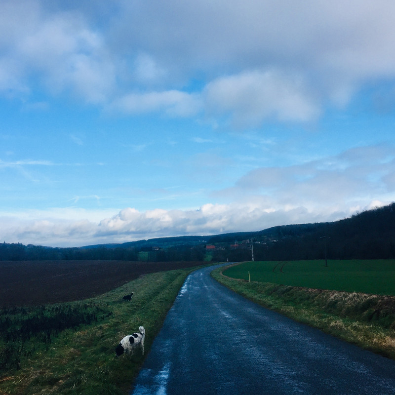 291F62DC-165A-4573-AA69-83379B7B4B95