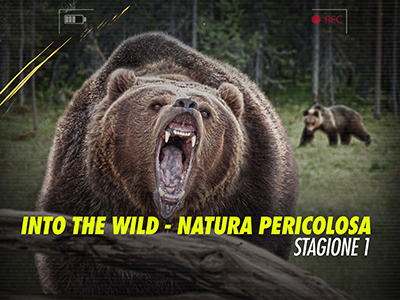 Into The Wild - Natura Pericolosa - Stagione 1 (2021) [Completa] DLMux 1080p AAC ITA