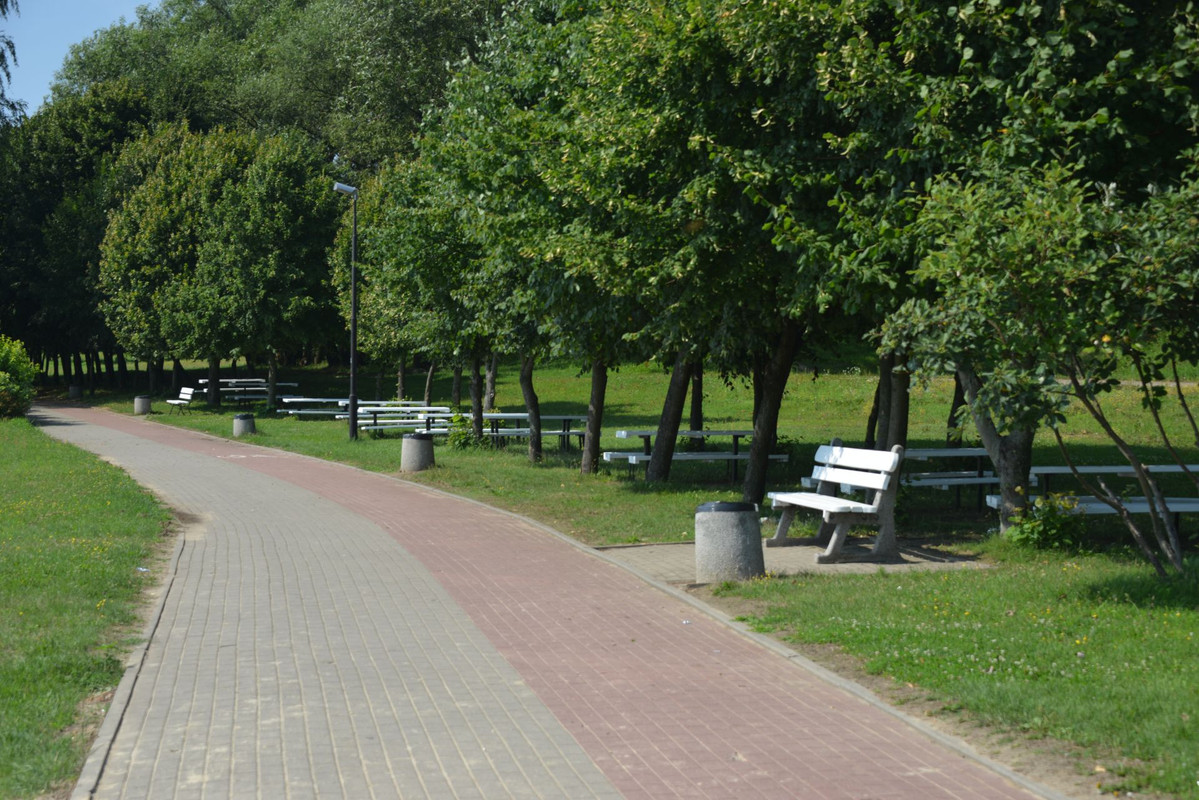 DSC-0054.jpg