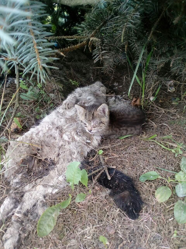 C34E257E-CBA5-45CC-A5AB-EC08D83B4F5E