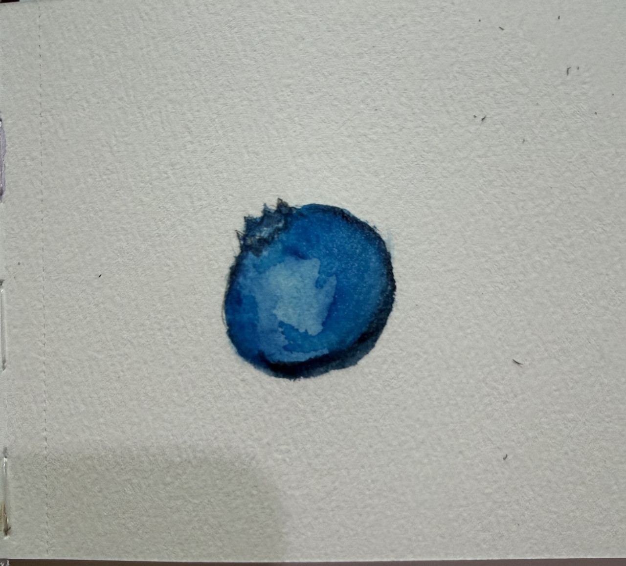 blueberry1