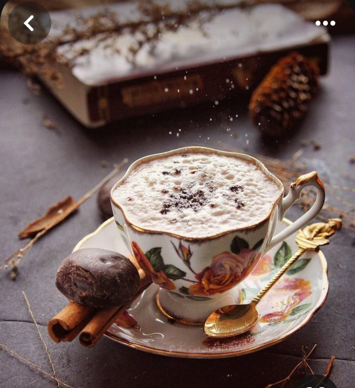 Screenshot_20240203_195640_Pinterest