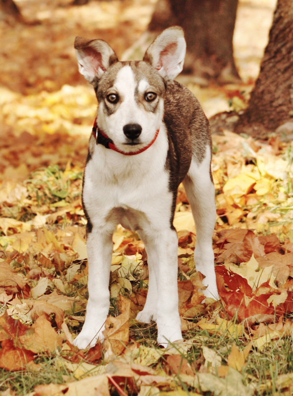 C6EAE4E7-CAA7-45BC-A2FA-4BF1D2245693