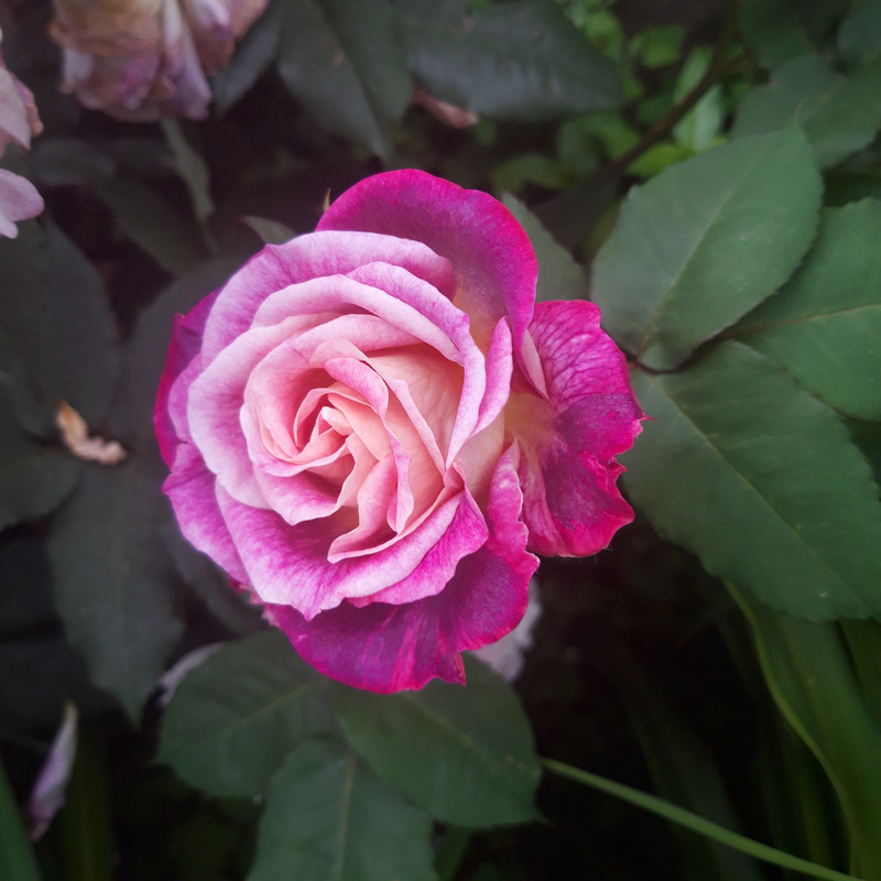 20190610_103754