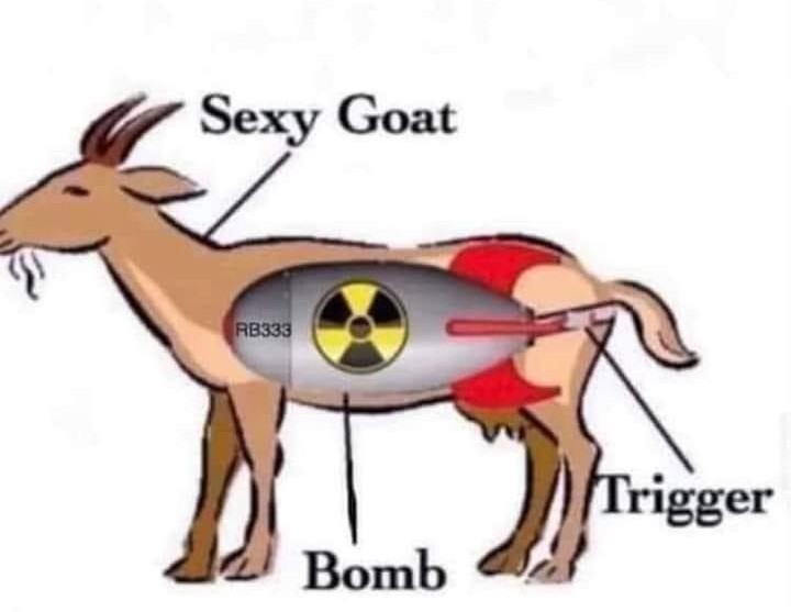 [Linked Image from i.postimg.cc]