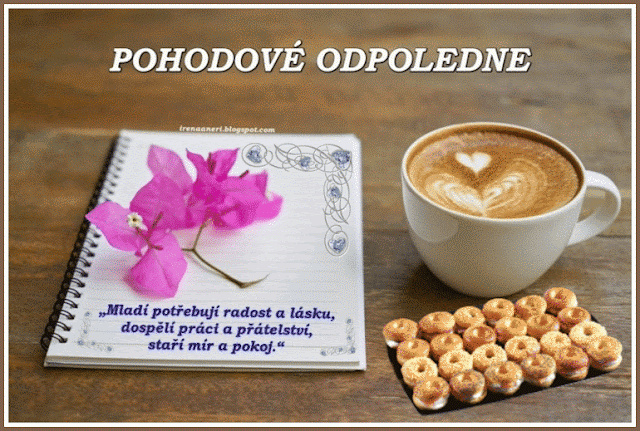 moudra-pohodov-odpoledne.gif