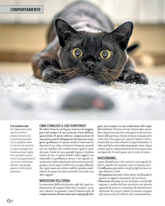 QuattroZampe Apr 2022 (10)