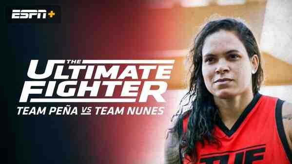  The Ultimate Fighter 