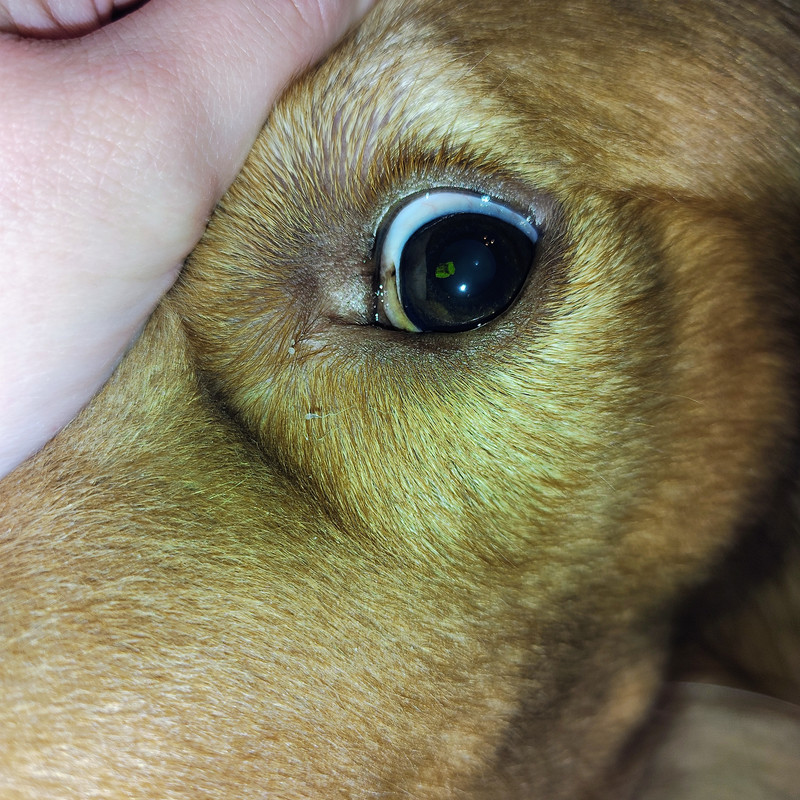 IMG_20251017_215745506_AE