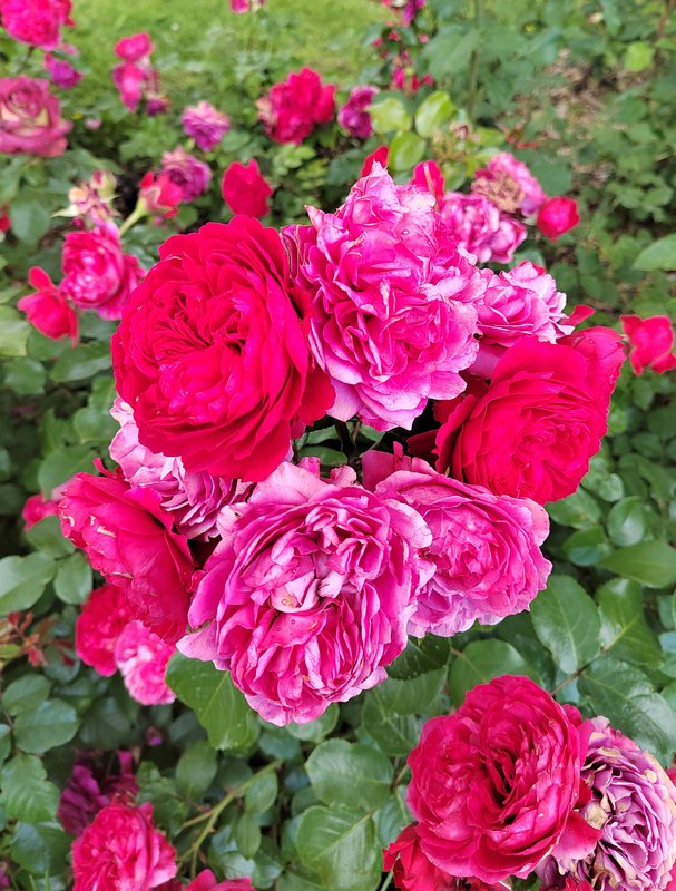 https://i.postimg.cc/pd2sRDJC/43-IMG-20250626-134328.jpg