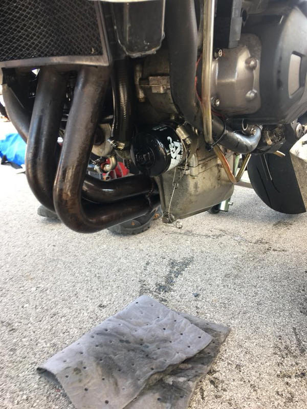 32387120_10104451423319192_238016478975098880_n