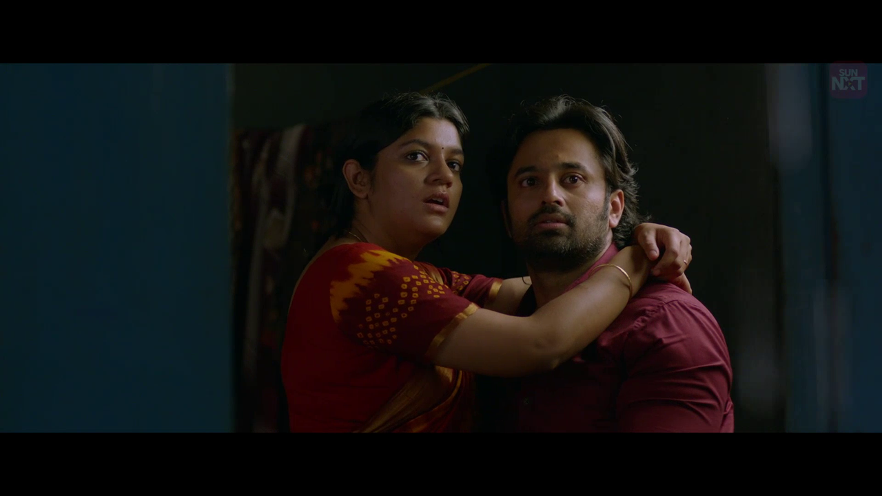 vlcsnap 2026 02 10 19h41m19s015