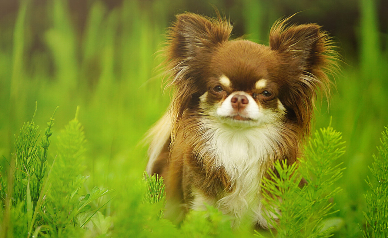 Lumii_20210527_142325305